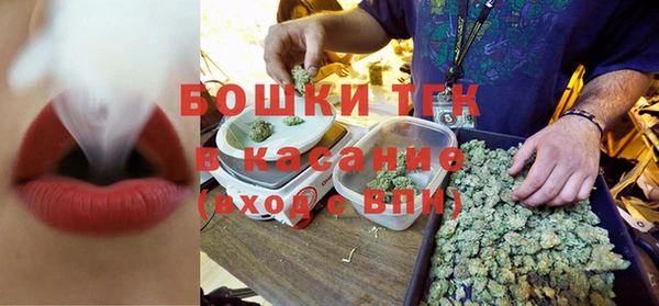 круглые Осинники