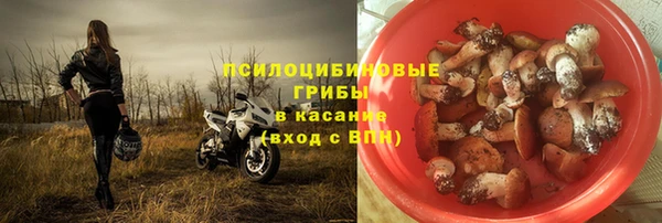 круглые Осинники